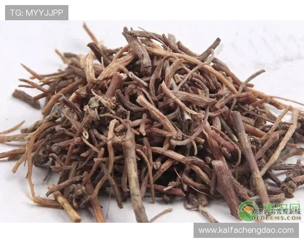 凯发旗舰厅客户端官网支持多平台登录操作指南与常见问题解答 凯发旗舰厅客户端官网支持多平台登录操作指南与常见问题解答