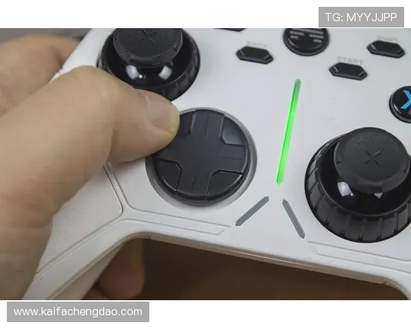 凯发国际首页注册流程详细指南新手快速注册畅享优质游戏体验 凯发国际首页注册流程详细指南新手快速注册畅享优质游戏体验