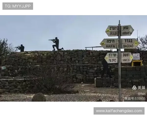 血流成河：如何提升你的战斗技巧实现战场上的血流成河