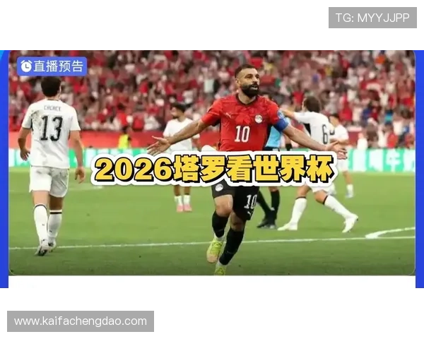 世界杯埃及对阵伊朗比赛中文解说全程回顾与精彩瞬间分析